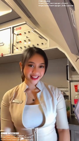 Flight Attendant 1