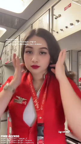 Flight Attendant 2